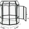Terrario de Vidrio Ferrisland con Tapa, Frasco Geométrico Negro para Plantas Suculentas, Carnívoras, Musgo de Aire, Caracol, en Forma de Pajarera Invernadero de Mesa para Decoración Interior DIY (Solo Terrario)