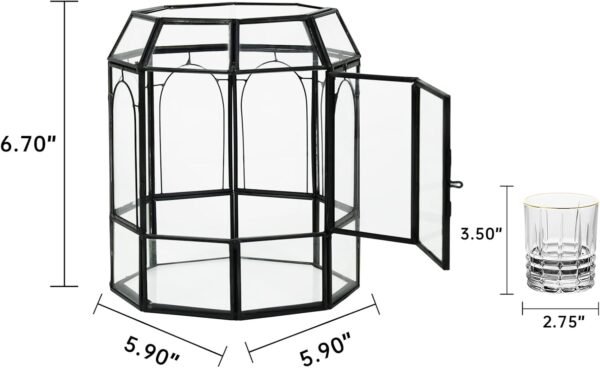 Terrario de Vidrio Ferrisland con Tapa, Frasco Geométrico Negro para Plantas Suculentas, Carnívoras, Musgo de Aire, Caracol, en Forma de Pajarera Invernadero de Mesa para Decoración Interior DIY (Solo Terrario)
