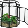 Terrario de Vidrio Ferrisland con Tapa, Frasco Geométrico Negro para Plantas Suculentas, Carnívoras, Musgo de Aire, Caracol, en Forma de Pajarera Invernadero de Mesa para Decoración Interior DIY (Solo Terrario)