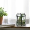 Terrario de Vidrio Ferrisland con Tapa, Frasco Geométrico Negro para Plantas Suculentas, Carnívoras, Musgo de Aire, Caracol, en Forma de Pajarera Invernadero de Mesa para Decoración Interior DIY (Solo Terrario)