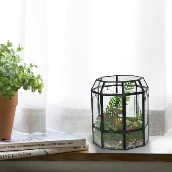 Terrario de Vidrio Ferrisland con Tapa, Frasco Geométrico Negro para Plantas Suculentas, Carnívoras, Musgo de Aire, Caracol, en Forma de Pajarera Invernadero de Mesa para Decoración Interior DIY (Solo Terrario)