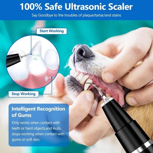717KBwlMWL._AC_SL1500_.jpg Removedor de placa para dientes - Limpiador ultrasónico para mascotas - Kit de limpieza dental para sarro y manchas - Adecuado para perros y gatos (Negro)