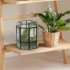 Terrario de Vidrio Ferrisland con Tapa, Frasco Geométrico Negro para Plantas Suculentas, Carnívoras, Musgo de Aire, Caracol, en Forma de Pajarera Invernadero de Mesa para Decoración Interior DIY (Solo Terrario)