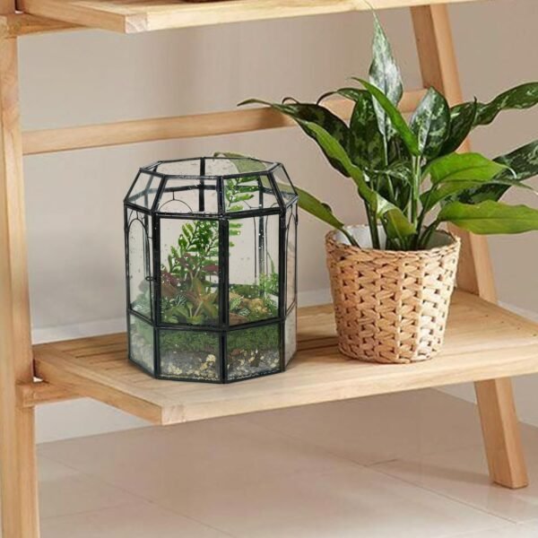 Terrario de Vidrio Ferrisland con Tapa, Frasco Geométrico Negro para Plantas Suculentas, Carnívoras, Musgo de Aire, Caracol, en Forma de Pajarera Invernadero de Mesa para Decoración Interior DIY (Solo Terrario)