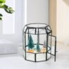 Terrario de Vidrio Ferrisland con Tapa, Frasco Geométrico Negro para Plantas Suculentas, Carnívoras, Musgo de Aire, Caracol, en Forma de Pajarera Invernadero de Mesa para Decoración Interior DIY (Solo Terrario)