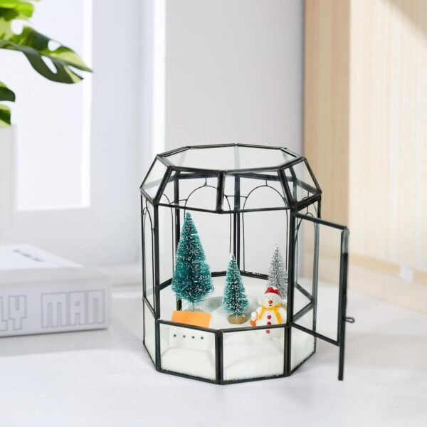 Terrario de Vidrio Ferrisland con Tapa, Frasco Geométrico Negro para Plantas Suculentas, Carnívoras, Musgo de Aire, Caracol, en Forma de Pajarera Invernadero de Mesa para Decoración Interior DIY (Solo Terrario)